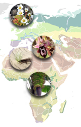 Maapallon kasvillisuus. Kuvat: http://commons.wikimedia.org/, CC BY-SA 3.0 