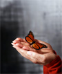 The Special Education Course begins 11 June