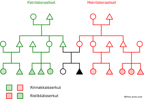 serkut